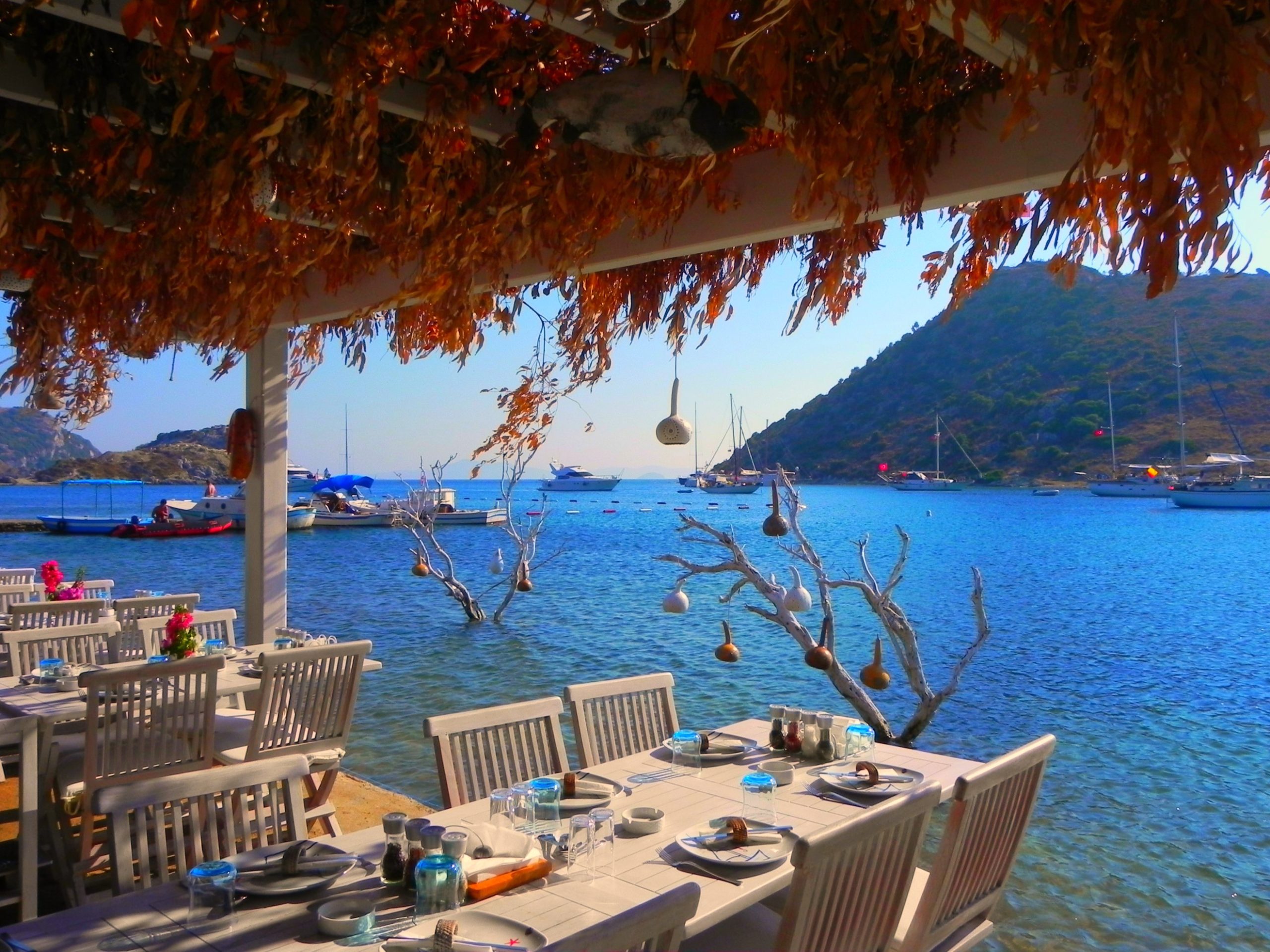 Söğüt (Marmaris)